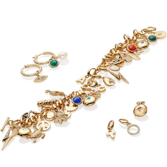 Gold Initial 'N' Biography Charm