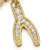Biography Wishbone