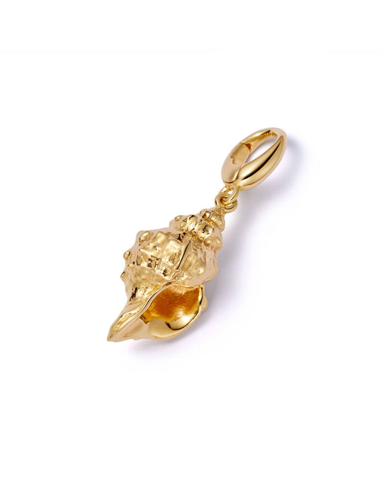 Gold Biography Shell Charm