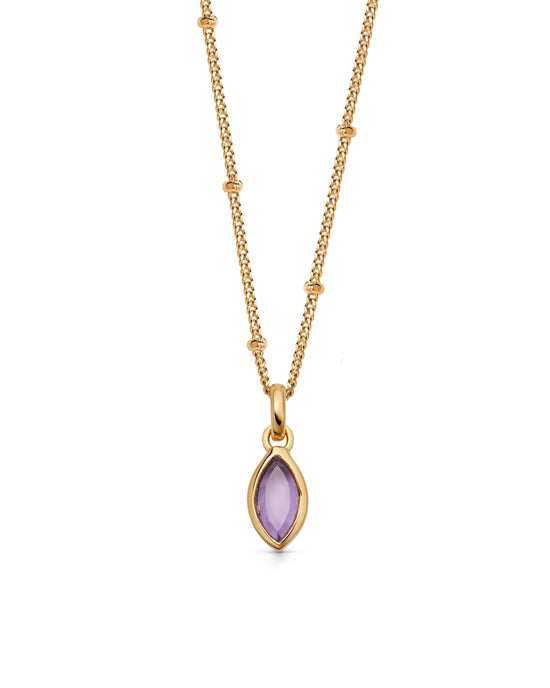 Gold February Amethyst Birthstone Pendant Necklace