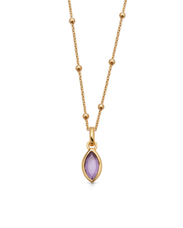 Gold February Amethyst Birthstone Pendant Necklace