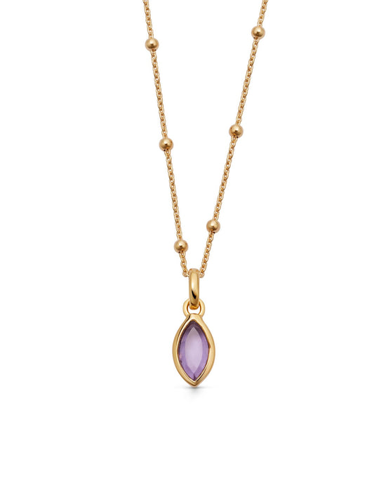 Gold February Amethyst Birthstone Pendant Necklace