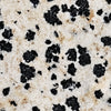 Dalmatian Jasper