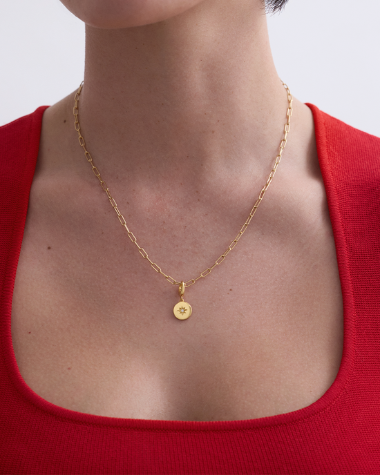 Gold Star Set Disc Charm