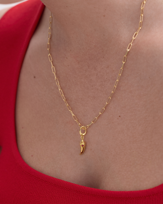 Gold Chilli Charm