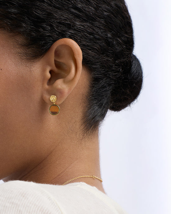 Terra Tigers Eye Drop Earrings