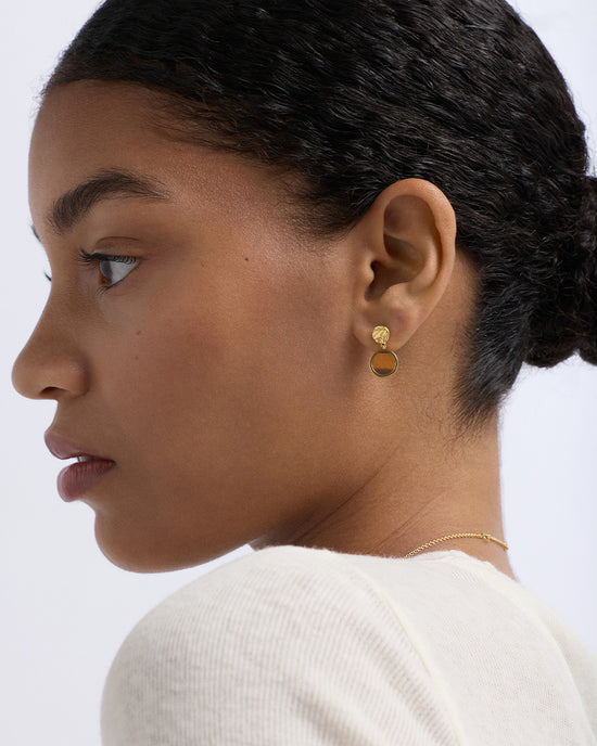 Terra Tigers Eye Drop Earrings