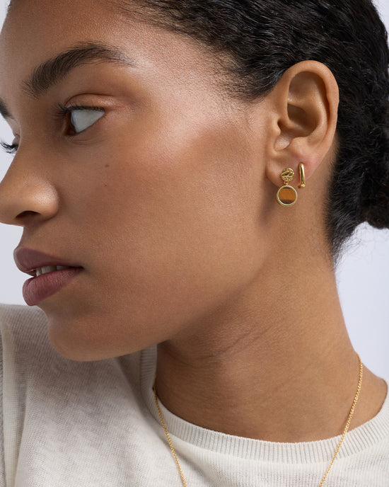 Terra Tigers Eye Drop Earrings