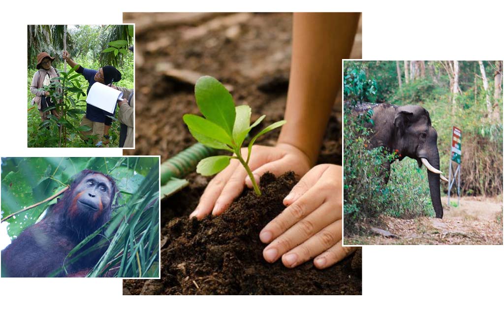 World Land Trust Eco-Friendly Environmental Charity x Astley Clarke | The Astley Clarke Blog