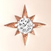 Rose Gold Biography Medium Locket Necklace