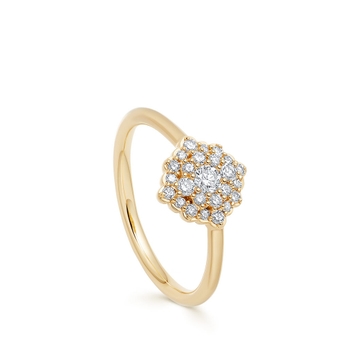Large Interstellar Cluster Diamond Ring