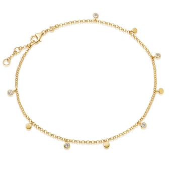 Biography Moonstone Droplet Anklet