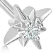 Silver Polaris Star Stud Earrings