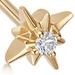 Gold Polaris Star Stud Earrings 