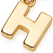 Initial 'H' Biography Charm Yellow Gold Vermeil