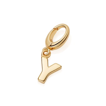 Gold Initial 'Y' Biography Charm