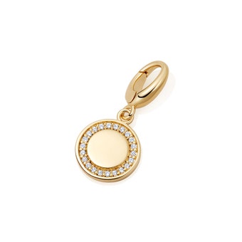 Cosmos Biography Charm in yellow gold vermeil