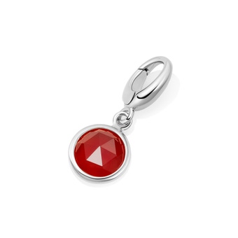 Silver Biography Red Agate Charm