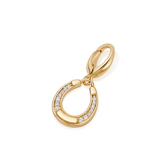 Horseshoe Biography Charm in Yellow Gold Vermeil
