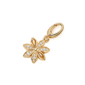 Gold Biography Star Anise Charm