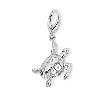 Silver Biography Turtle Charm
