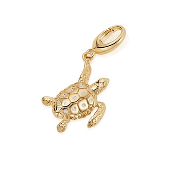 Gold Biography Turtle Charm