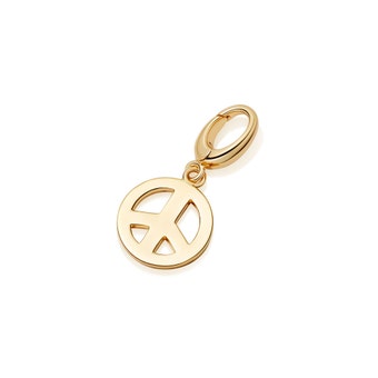 Gold Biography Mini Peace Charm