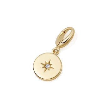 Gold Biography Star Set Disc Charm