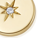 Gold Biography Star Set Disc Earring Charm