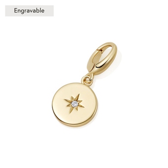 Gold Biography Star Set Disc Charm