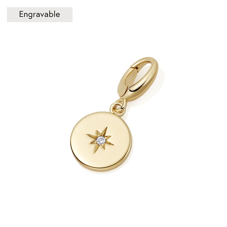 Gold Biography Star Set Disc Charm