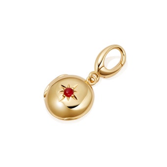 Carnelian Biography July Birthstone Locket Charm