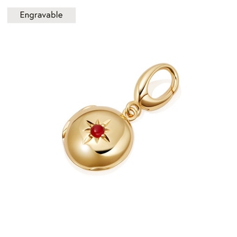 Carnelian Biography July Birthstone Locket Charm