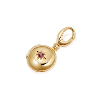 Pink Tourmaline Biography October Birthstone Locket Charm
