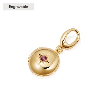 Pink Tourmaline Biography October Birthstone Locket Charm