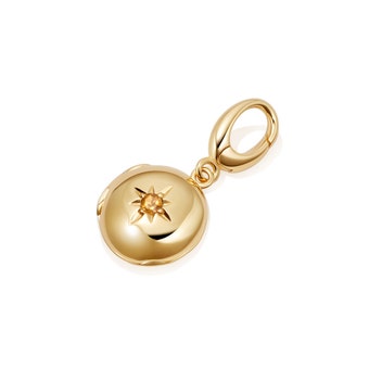 Citrine Biography December Birthstone Locket Charm