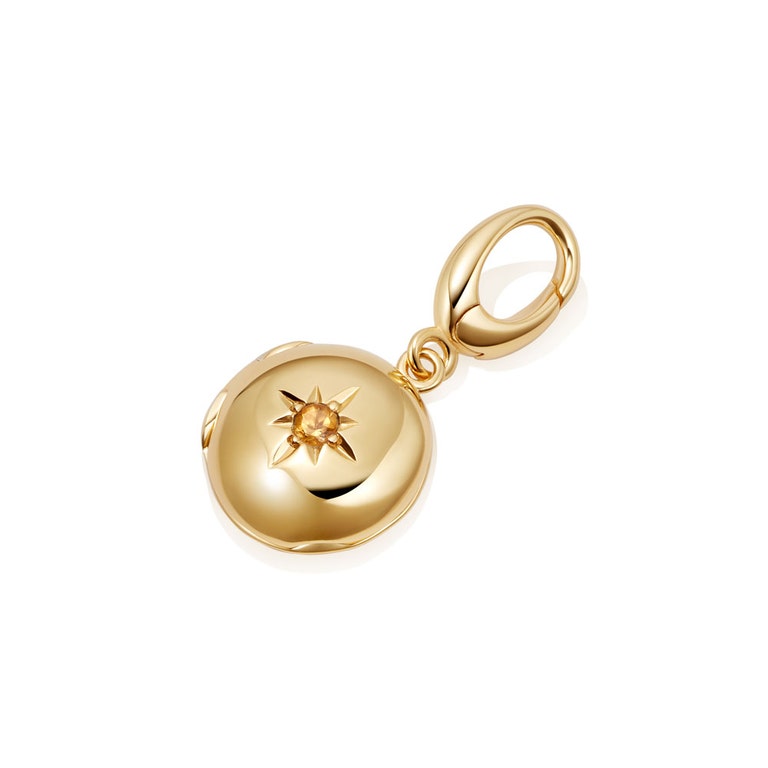 Citrine Biography December Birthstone Locket Charm