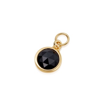 Gold Biography Black Onyx Earring Charm