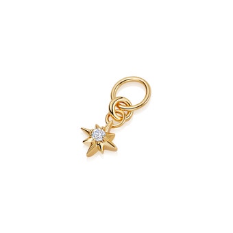 Gold Polaris Star Biography Earring Charm
