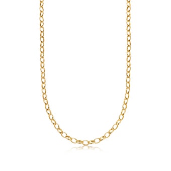 Gold Biography Thick Chain Necklace