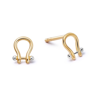 Gold and Silver Aurora Stud Earrings