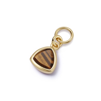 Gold Biography Tigers Eye Triangle Earring Charm