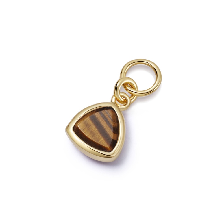 Gold Biography Tigers Eye Triangle Earring Charm
