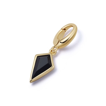 Gold Biography Black Onyx Kite Charm