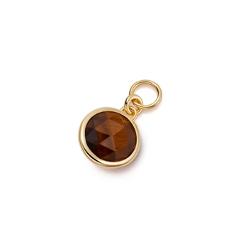 Gold Biography Tigers Eye Earring Charm