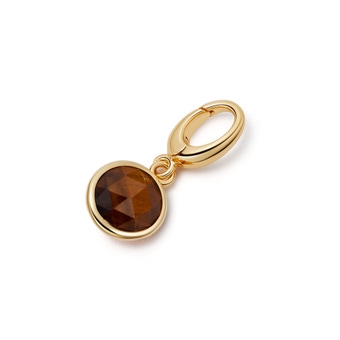 Gold Biography Tigers Eye Charm