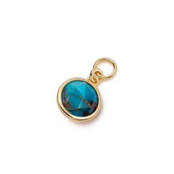Gold Biography Turquoise Earring Charm