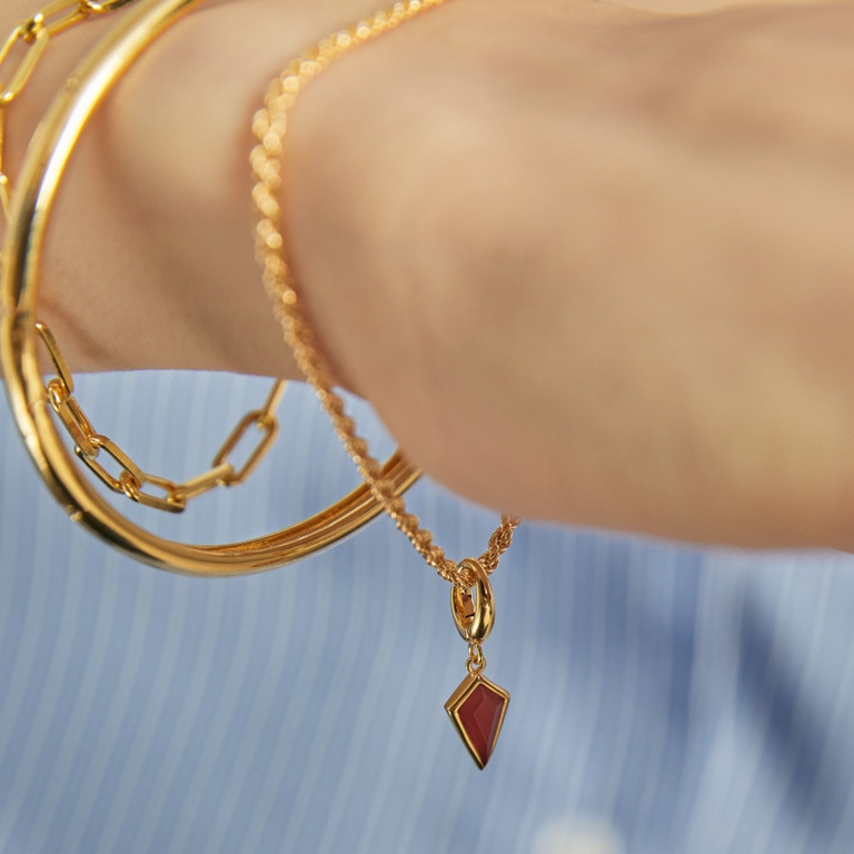 Gold Biography Red Agate Kite Charm