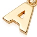 Gold Initial 'A' Biography Charm