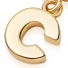 Gold Initial 'C' Biography Charm